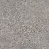 Concept Grey 60x120x2