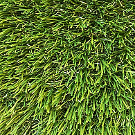 Grassoorten