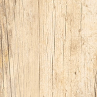 Sher Wood 40x120x2 cm Wood Honey