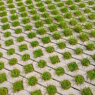 Grasbetontegels 60x40x12 basic vlak grijs BK15