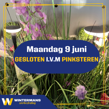 Pinksteren