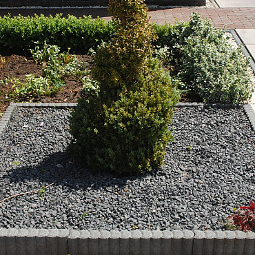 Palissadeband Zwart 8x35x50cm rond