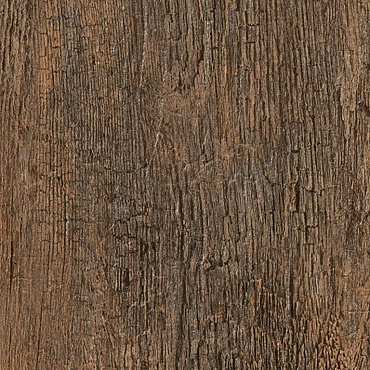 Noon 120x30x2 Honey