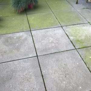 BIOnyx Terras & Opritreiniger 750ml