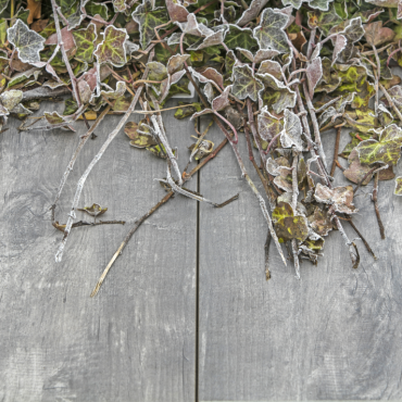 GeoCeramica 80x40x4 cm Timber Grigio