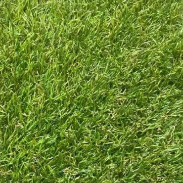 MGA Grass Art Special