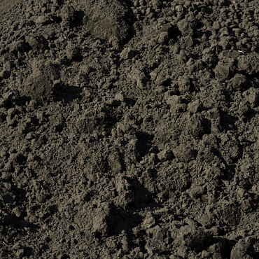 Big Bag Zwarte grond (ca. 1m3)