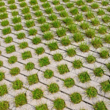 Grasbetontegels 60x40x9 grijs