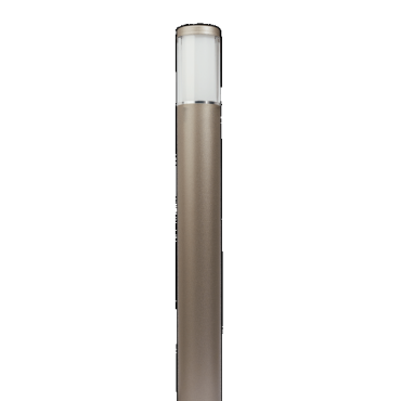 LIV 12V Rose Silver