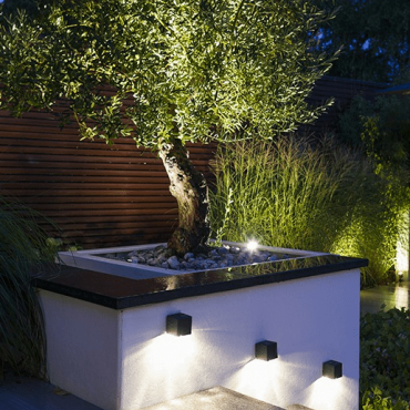 CUBID 12V Rose Silver