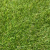 MGA Grass Art Special