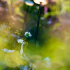 SWAY TUBE Black (100 cm hoogte)