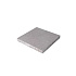Schellevis Grote Tegel 120x120x12 cm Grijs
